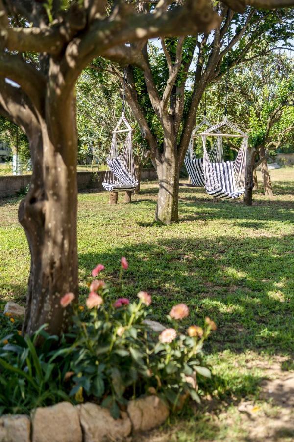 Villa Caterina B&B Прочида Екстериор снимка